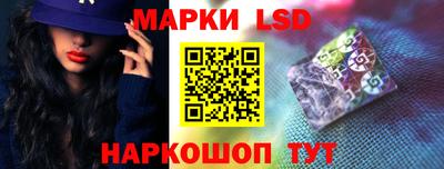 СК Бийск