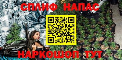 СК Бийск