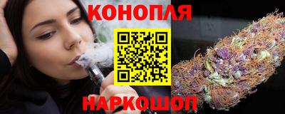СК Бийск