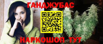 СК Бийск