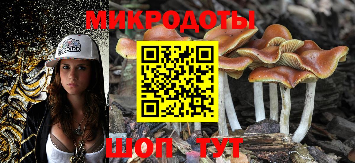Псилоцибиновые грибы Magic Shrooms Кингисепп